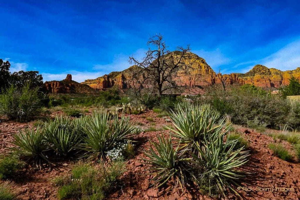 Sedona home for sale red rock views