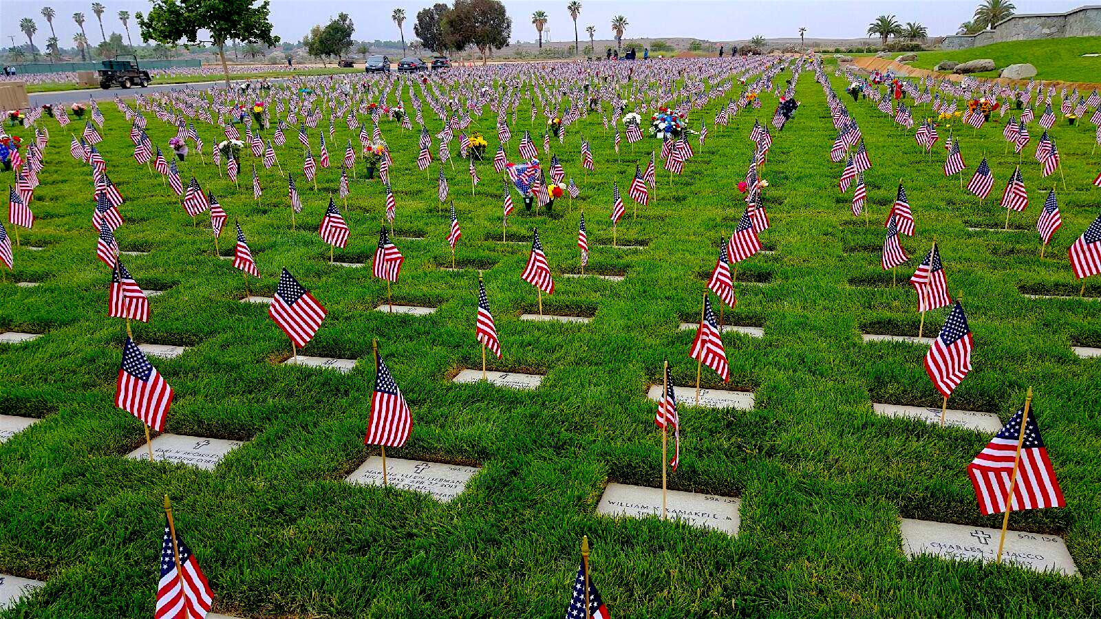Reflections On The Real Meaning of Memorial Day – A Special Focus …