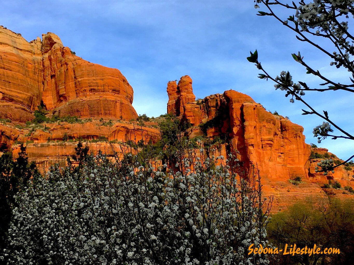 Sedona Weather Stats for February 2020 – Are Sign of Spring Here!