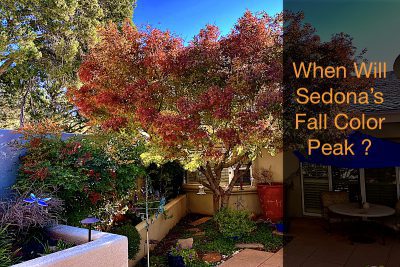 Peak Fall Color Sheri Sperry 928-274-7355