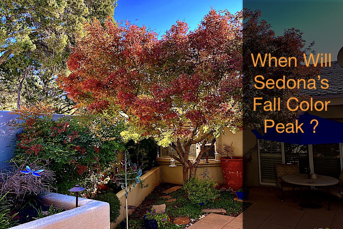 When Will Sedona’s Fall Color Peak?