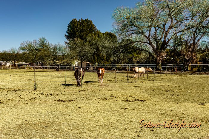 Horse Property for Sale Camp Verde AZ