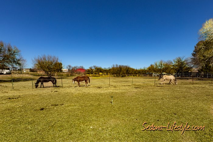 Horse Property for Sale Camp Verde AZHorse Property for Sale Camp Verde AZ
