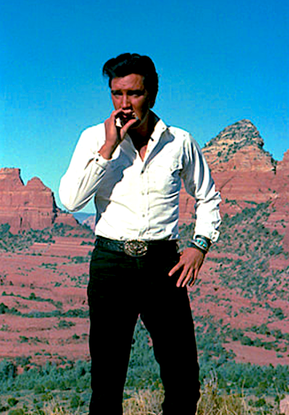 Elvis Presley at Schebly Point in Sedona Red Rocks behind him - 