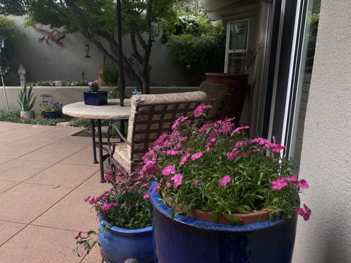 Sedona flower pots at my front door at the Cottages At Coffeepot Sedona real estate Call Sheri for all things real estate at 928-274-7355