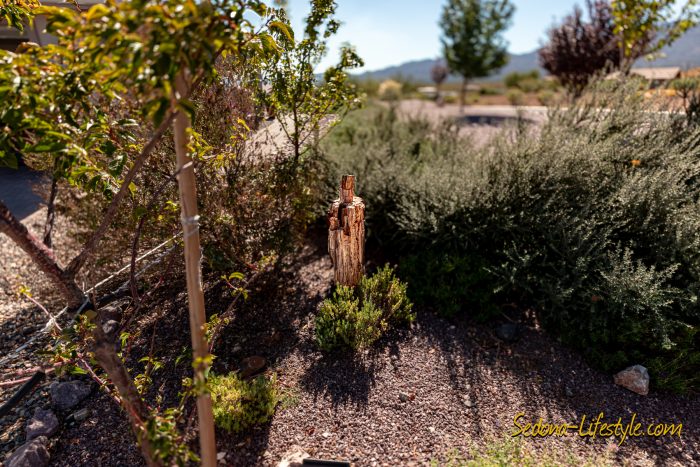Many large pieces of petrified rock, Landscaping at 2835 S. Quail Canyon Rd, Cottonwood AZ 86326 - For Sale - Call Sheri Sperry for all your real estate needs at 928.274.7355