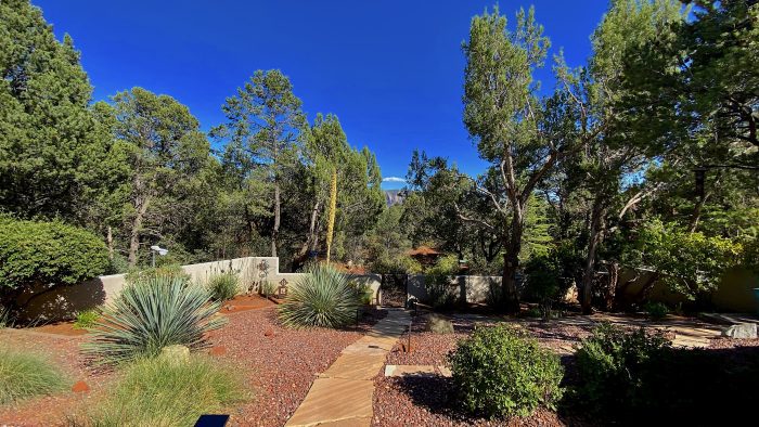 Cottage Backyard looking east