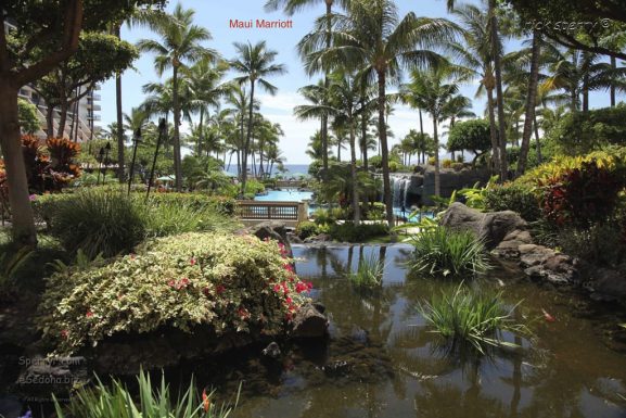 Ocean Front Balcony Maui Marriott Vacation Rental Book Early!