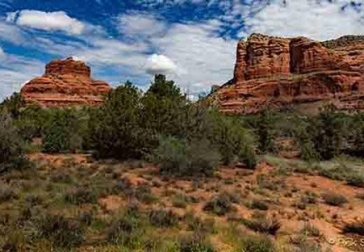 Big Park & Pine Valley