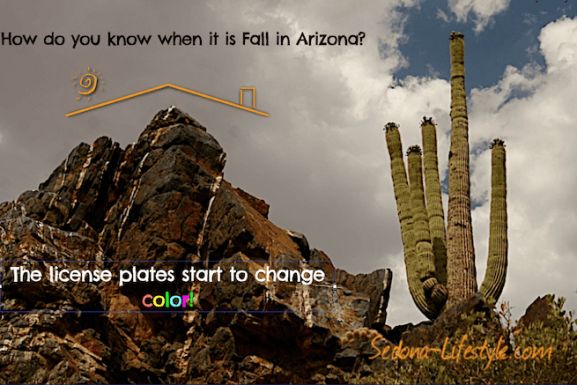 5 Topics To Consider For Snowbirds Migrating To Sedona AZ