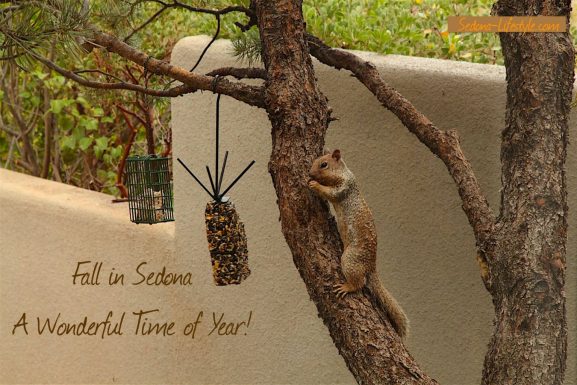 Autumn In Sedona – It’s A Wonderful Time of Year!