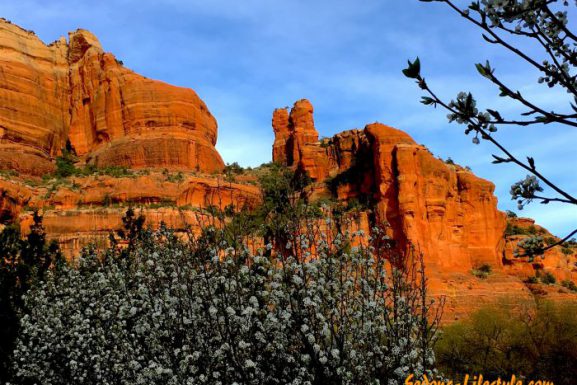 Sedona Weather Stats for February 2020 – Are Sign of Spring Here!