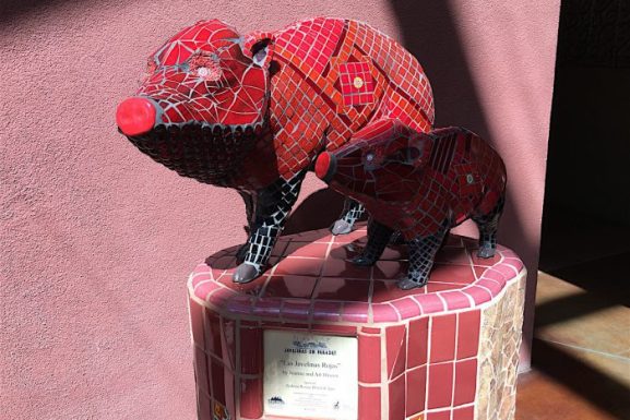 Sedona Arizona ~ “Javelina On Parade”