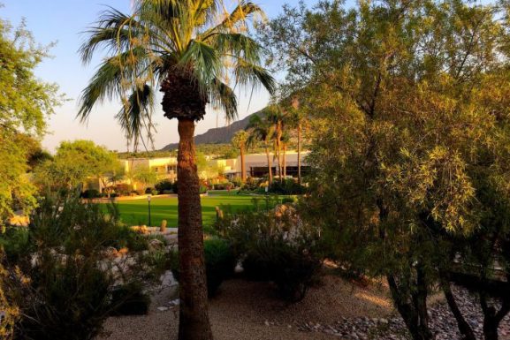 Camelback Inn – Sonoran Desert Flora