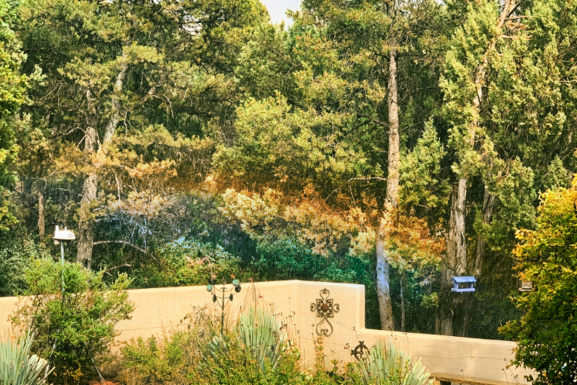 Sedona July Monsoon Weather Summary – Is El Niño Affecting It?