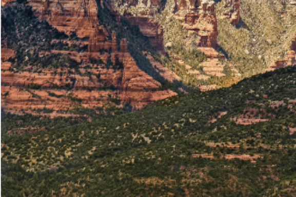 Duality of Work Life Balance…Discover More About Sheri Sperry