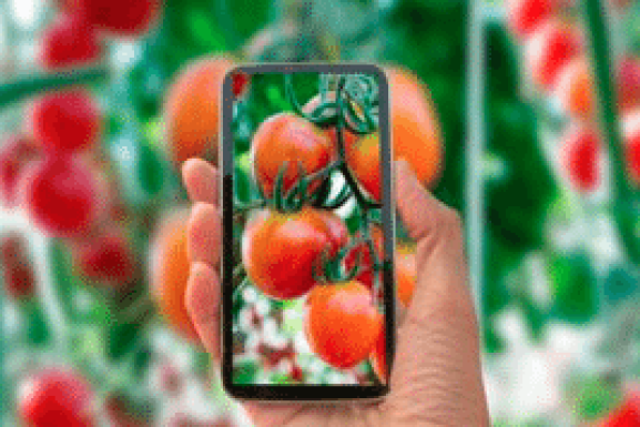 Best Garden Apps