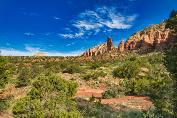 Pine Valley – Get A Glimpse of a Special Area and Lifestyle