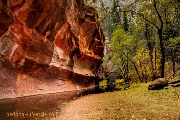 West Fork Trail ~ Oak Creek Canyon ~ Sedona Arizona